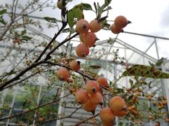 -南通洲际绿博园