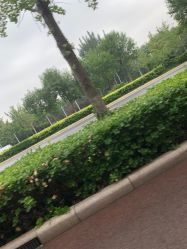 -HEYAN长风荷妍专业脱毛美肤
