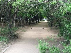 -长春市南湖公园