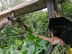 -海南热带野生动植物园