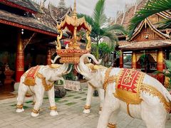 -西双版纳傣族园