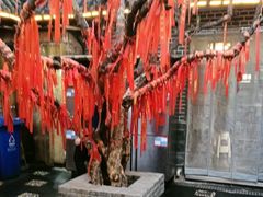-董立兵烤鸭店(明湖店)