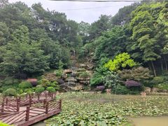 -铁山坪森林公园