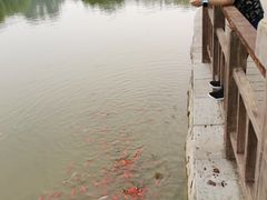 -石家庄市动物园