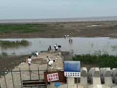 -南汇新城海滩