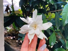-春庄咖啡SpringHues(钟楼小区店)