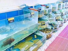 水产区-地方名吃海鲜大馅蒸饺(北戴河店)