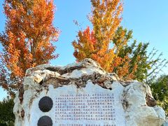 -北京明城墙遗址公园