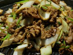 -喜悦烤鸭·新京菜(王府井店)