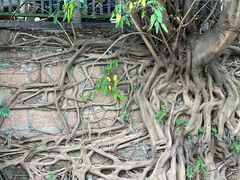 -五凤溪古镇