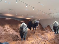 -深圳湾万象城(南山店)