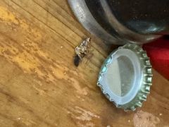 -厕所串串(文殊院店)