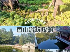 -香山公园