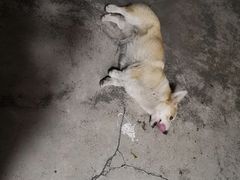 -贝斯迪KTV(利和店)