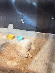 -酷嗒动物文化乐园(cutezoo西溪乐天城店)