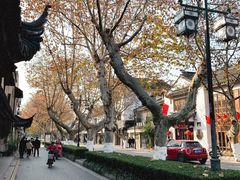 -同得兴 Since·1995 传统苏式面馆(十全街店)