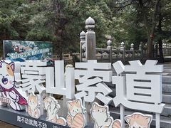 -沂蒙山旅游区云蒙景区(蒙山国家森林公园)