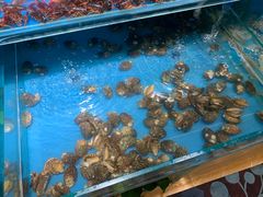 -加尔森烤肉海鲜·火锅烧烤自助