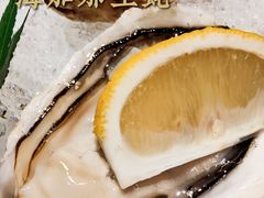 海加那生蚝-揽季锅物会.福建黄鱼.海鲜姿造(五四路店)