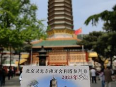 -八大处公园