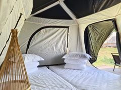 -Walker萌宠露营(大明骑士驿站店)