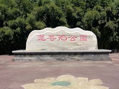 -莲花池公园