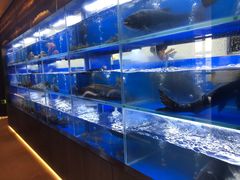 水产区-隆聚时令海鲜(一舟店)