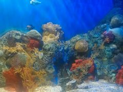 -洛阳龙门海洋馆