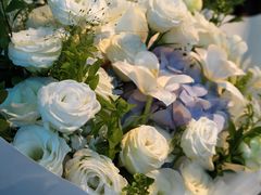 -重庆丽苑维景国际大酒店·海鲜自助餐厅