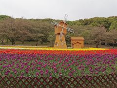 -苏州上方山国家森林公园