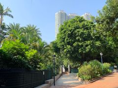 -九龙公园