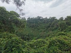 -海口火山口国家地质公园