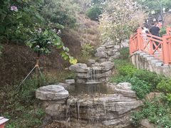 -小南山公园