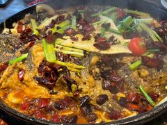 -老板恋上鱼(恒隆广场店)