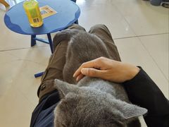 -平行世界·猫咖(首经贸店)