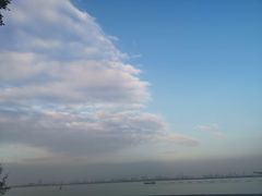 -大湾区中央湿地公园