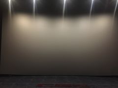 -深影国际影城(学院南路店CGS中国巨幕店)
