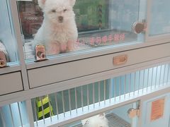 -FAELING PETS美天灵宠物(合生汇店)