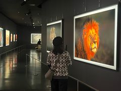 -罗红摄影艺术馆