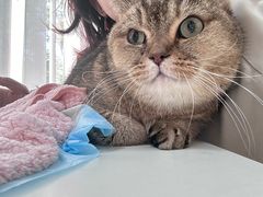-美美宠物诊疗中心·异宠·骨科(滨江东信分院)