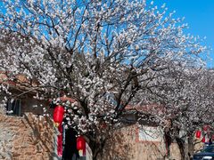 -里口山风景名胜区