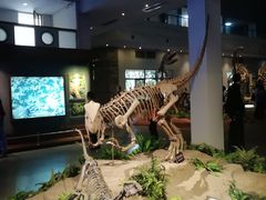 -自贡恐龙博物馆