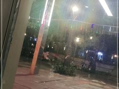 -刘记糟粕醋海鲜烧烤