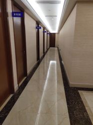 -碧莲盛·不剃发植发