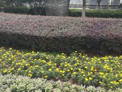 -西北湖绿化广场