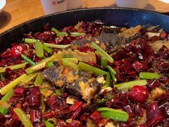 -老板恋上鱼(恒隆广场店)