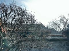 -恭王府博物馆