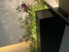 -华夏良子·足道SPA艾灸(王府井店)