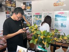 -苏州市吴中区光福窑上花果蜜饯厂