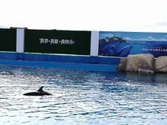 -三亚海昌梦幻海洋不夜城